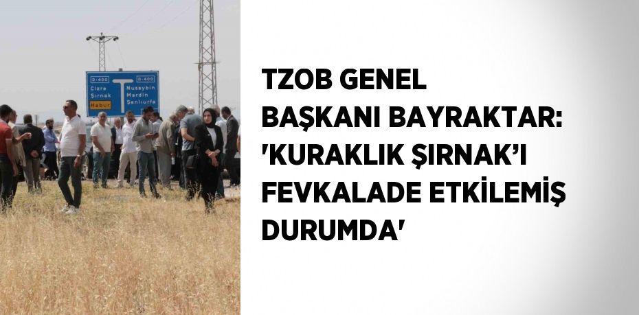 TZOB GENEL BAŞKANI BAYRAKTAR: 'KURAKLIK ŞIRNAK’I FEVKALADE ETKİLEMİŞ DURUMDA'