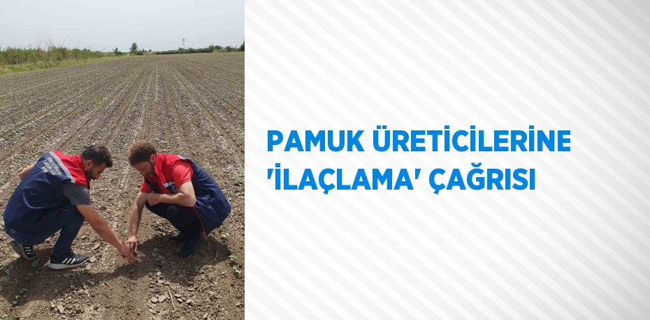 PAMUK ÜRETİCİLERİNE 'İLAÇLAMA' ÇAĞRISI