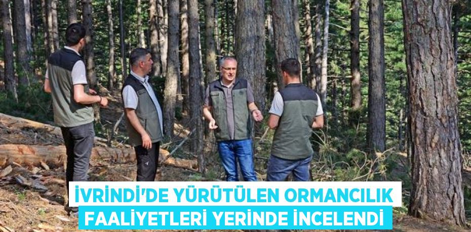 İVRİNDİ’DE YÜRÜTÜLEN ORMANCILIK FAALİYETLERİ YERİNDE İNCELENDİ