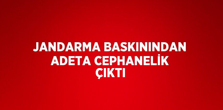 JANDARMA BASKININDAN ADETA CEPHANELİK ÇIKTI