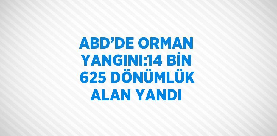 ABD’DE ORMAN YANGINI:14 BİN 625 DÖNÜMLÜK ALAN YANDI