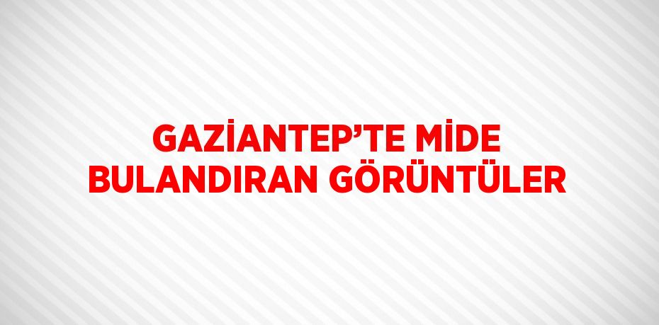 GAZİANTEP’TE MİDE BULANDIRAN GÖRÜNTÜLER