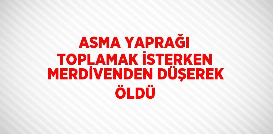 ASMA YAPRAĞI TOPLAMAK İSTERKEN MERDİVENDEN DÜŞEREK ÖLDÜ