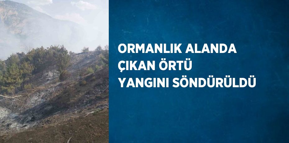 ORMANLIK ALANDA ÇIKAN ÖRTÜ YANGINI SÖNDÜRÜLDÜ