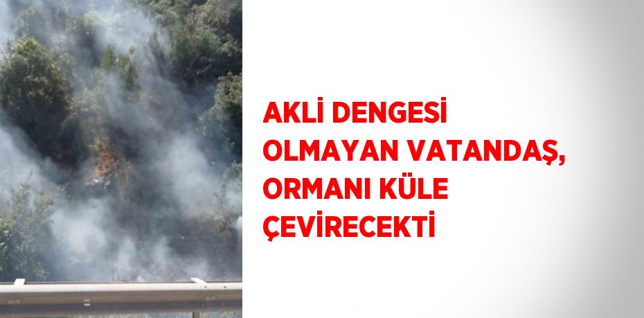 AKLİ DENGESİ OLMAYAN VATANDAŞ, ORMANI KÜLE ÇEVİRECEKTİ