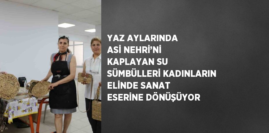 YAZ AYLARINDA ASİ NEHRİ’Nİ KAPLAYAN SU SÜMBÜLLERİ KADINLARIN ELİNDE SANAT ESERİNE DÖNÜŞÜYOR