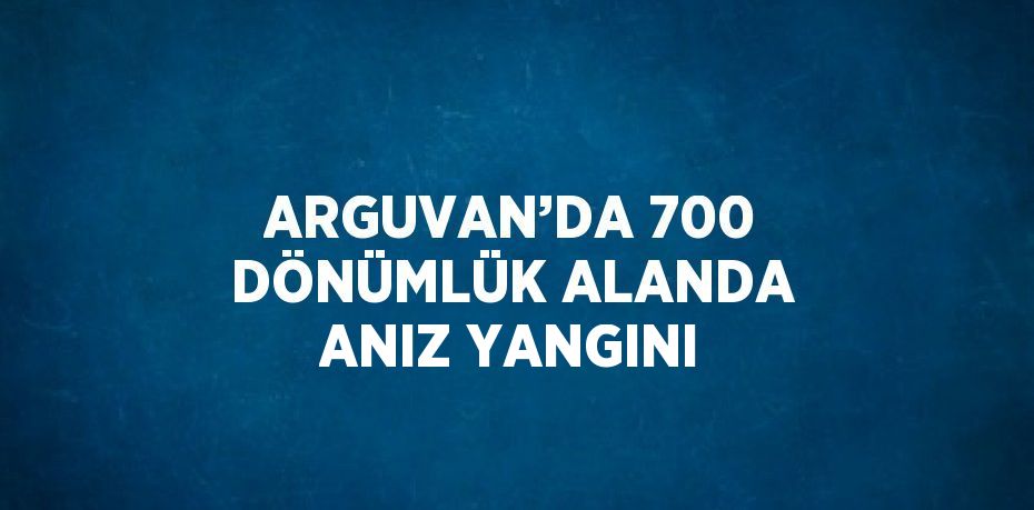 ARGUVAN’DA 700 DÖNÜMLÜK ALANDA ANIZ YANGINI