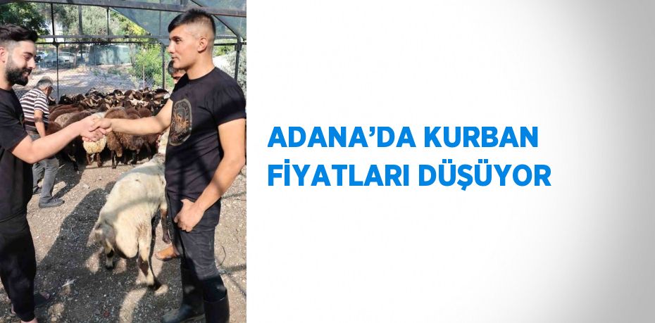 ADANA’DA KURBAN FİYATLARI DÜŞÜYOR