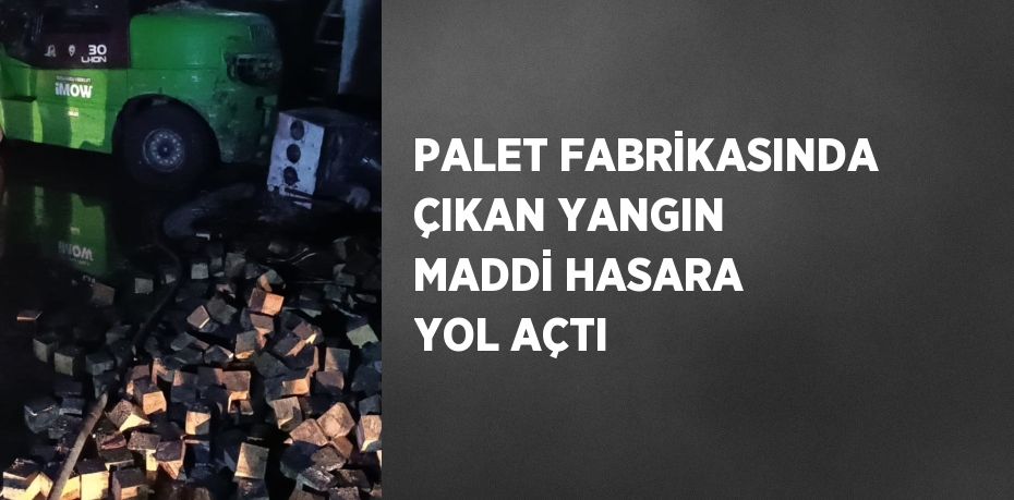 PALET FABRİKASINDA ÇIKAN YANGIN MADDİ HASARA YOL AÇTI