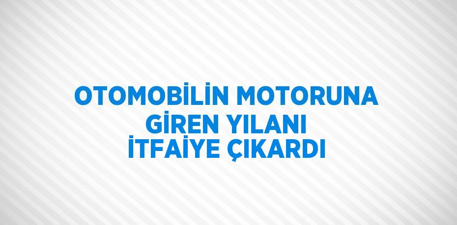 OTOMOBİLİN MOTORUNA GİREN YILANI İTFAİYE ÇIKARDI