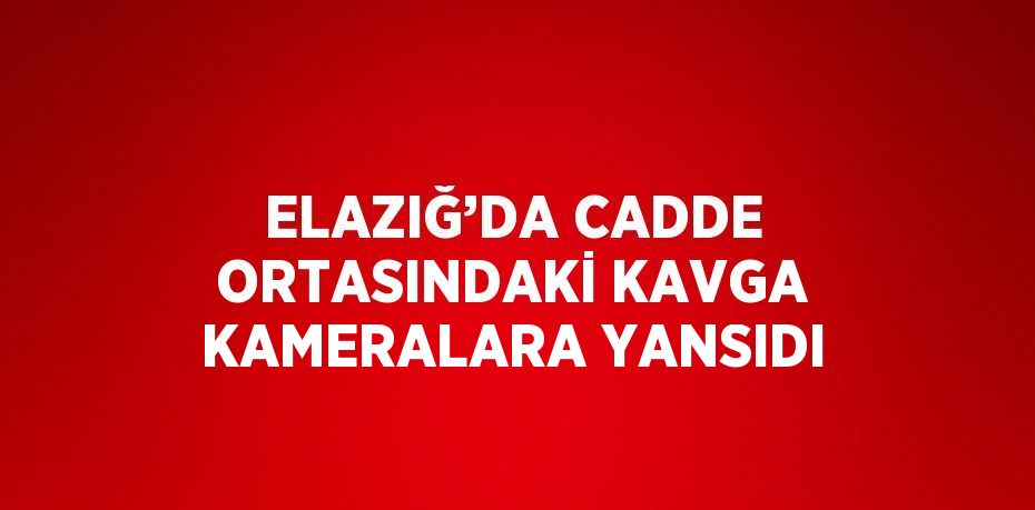 ELAZIĞ’DA CADDE ORTASINDAKİ KAVGA KAMERALARA YANSIDI