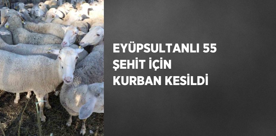 EYÜPSULTANLI 55 ŞEHİT İÇİN KURBAN KESİLDİ