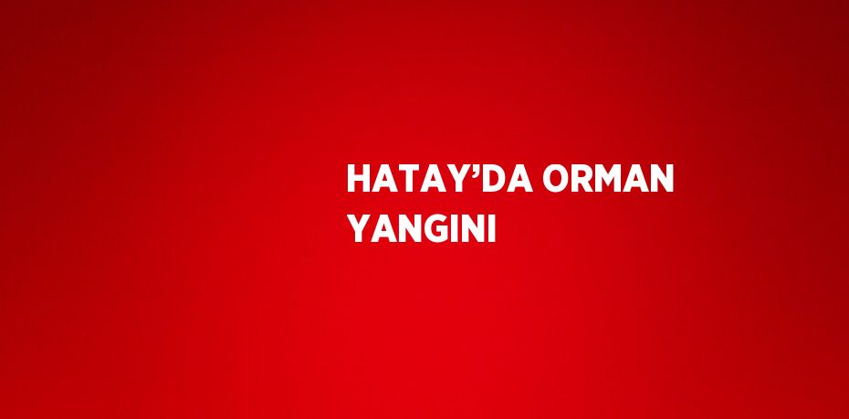 HATAY’DA ORMAN YANGINI