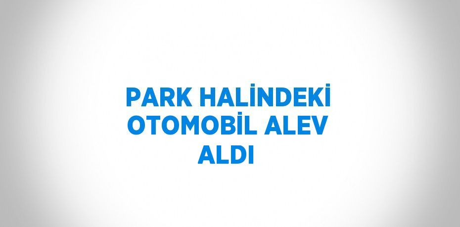 PARK HALİNDEKİ OTOMOBİL ALEV ALDI