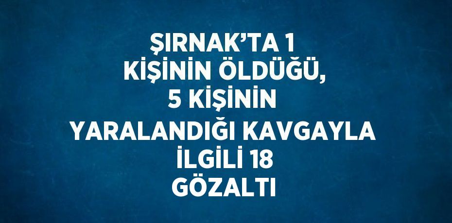 ŞIRNAK’TA 1 KİŞİNİN ÖLDÜĞÜ, 5 KİŞİNİN YARALANDIĞI KAVGAYLA İLGİLİ 18 GÖZALTI