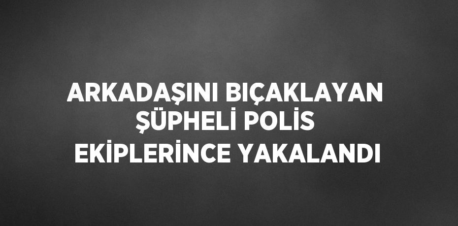 ARKADAŞINI BIÇAKLAYAN ŞÜPHELİ POLİS EKİPLERİNCE YAKALANDI