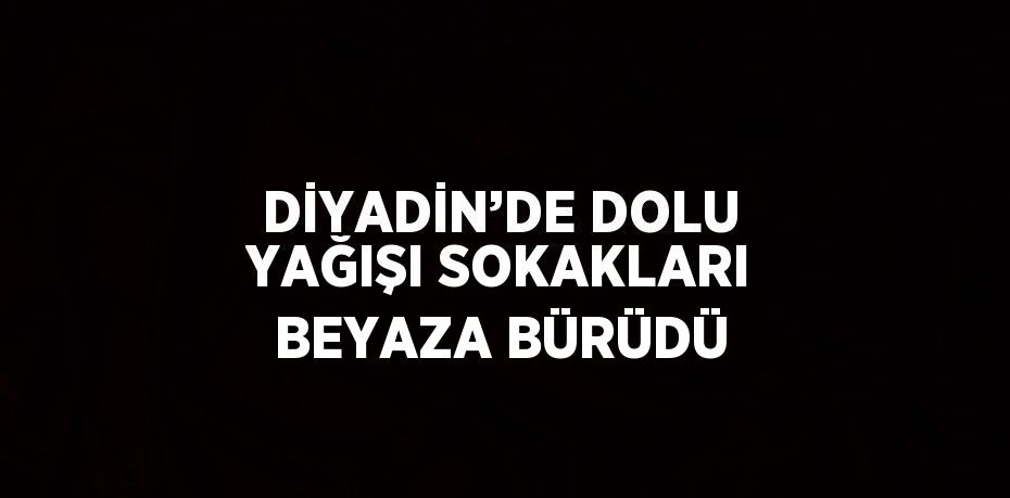 DİYADİN’DE DOLU YAĞIŞI SOKAKLARI BEYAZA BÜRÜDÜ