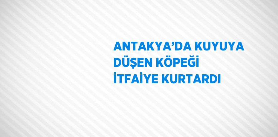 ANTAKYA’DA KUYUYA DÜŞEN KÖPEĞİ İTFAİYE KURTARDI