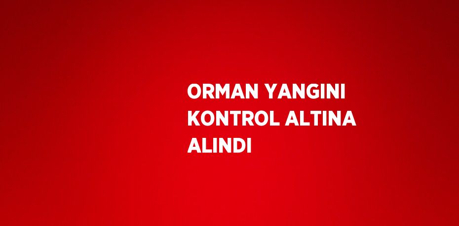 ORMAN YANGINI KONTROL ALTINA ALINDI