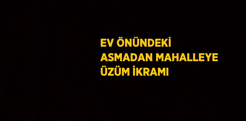 EV ÖNÜNDEKİ ASMADAN MAHALLEYE ÜZÜM İKRAMI