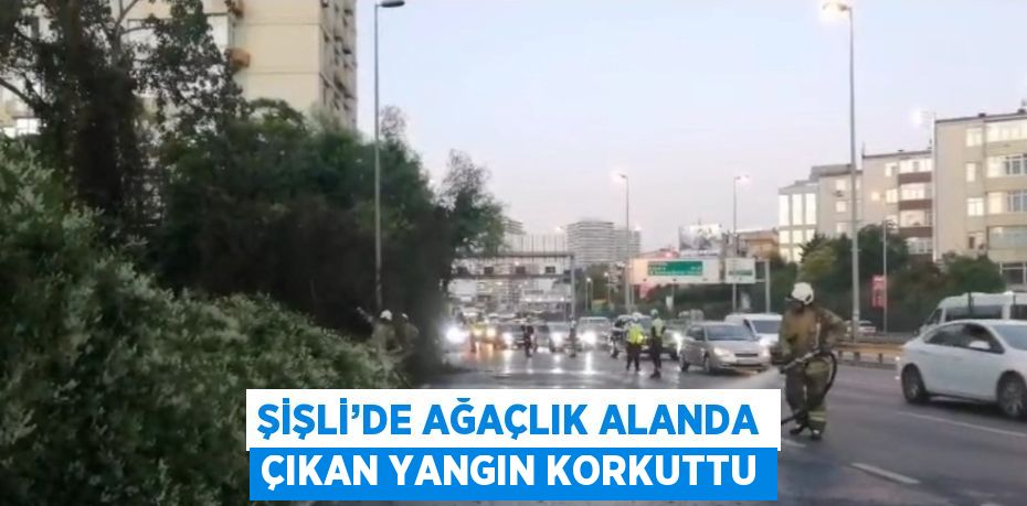 ŞİŞLİ’DE AĞAÇLIK ALANDA ÇIKAN YANGIN KORKUTTU