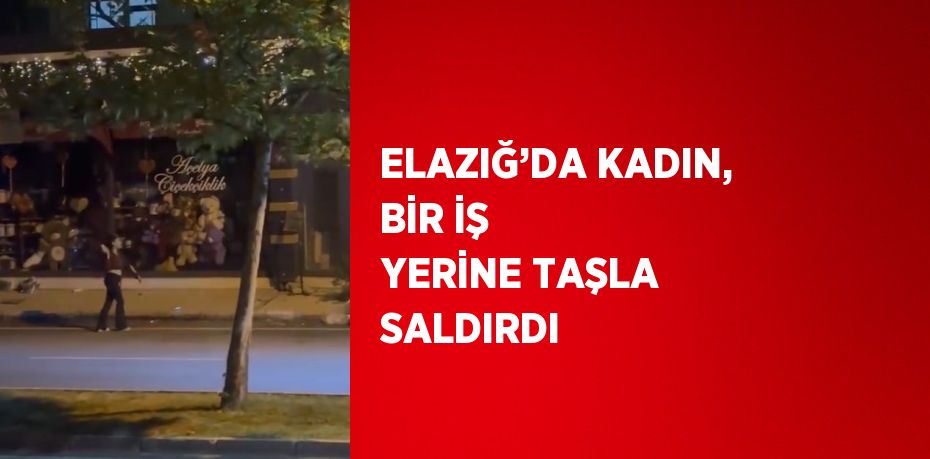 ELAZIĞ’DA KADIN, BİR İŞ YERİNE TAŞLA SALDIRDI