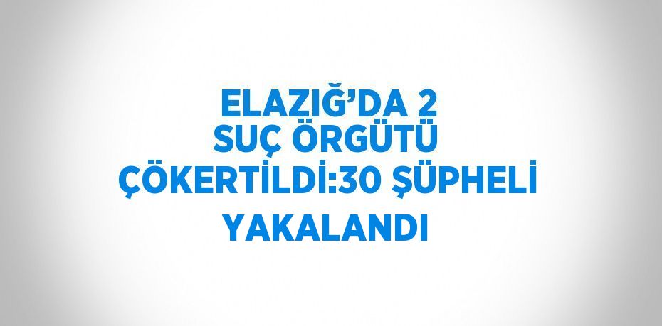 ELAZIĞ’DA 2 SUÇ ÖRGÜTÜ ÇÖKERTİLDİ:30 ŞÜPHELİ YAKALANDI