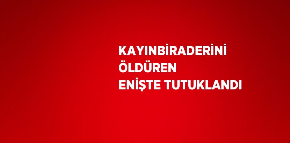 KAYINBİRADERİNİ ÖLDÜREN ENİŞTE TUTUKLANDI