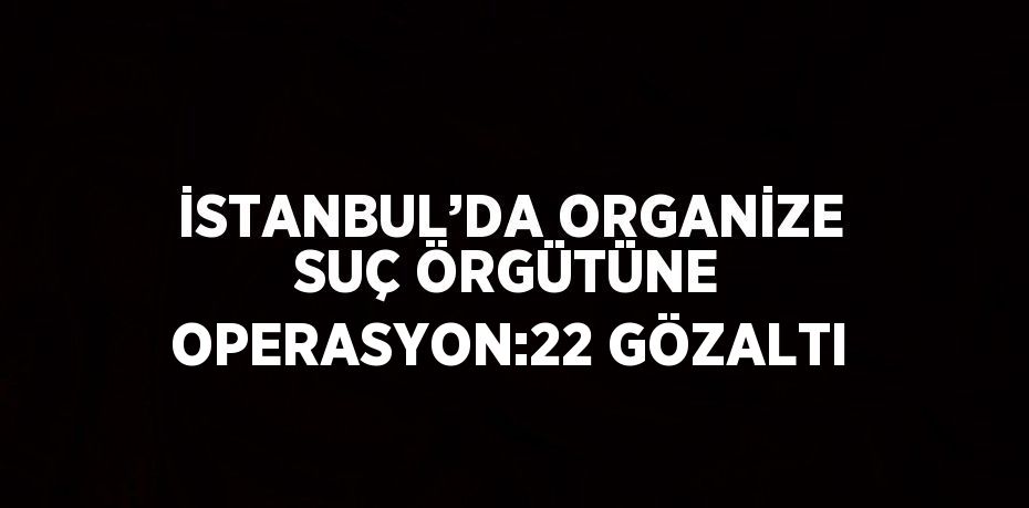 İSTANBUL’DA ORGANİZE SUÇ ÖRGÜTÜNE OPERASYON:22 GÖZALTI