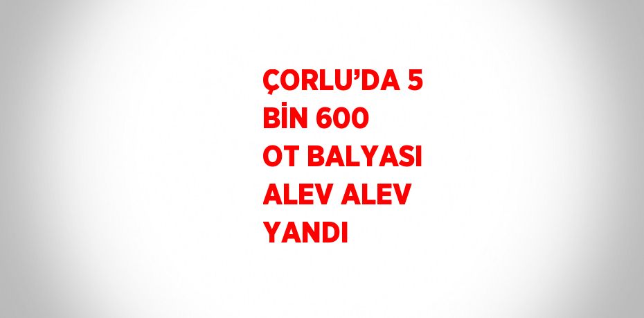 ÇORLU’DA 5 BİN 600 OT BALYASI ALEV ALEV YANDI
