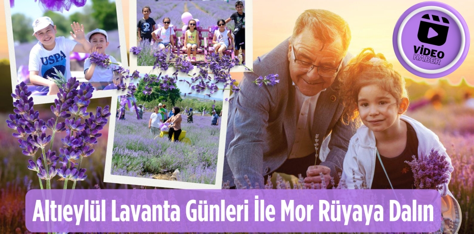 Altıeylül Lavanta Günleri İle Mor Rüyaya Dalın