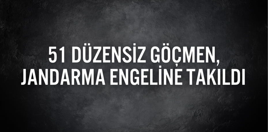 51 düzensiz göçmen, jandarma engeline takıldı