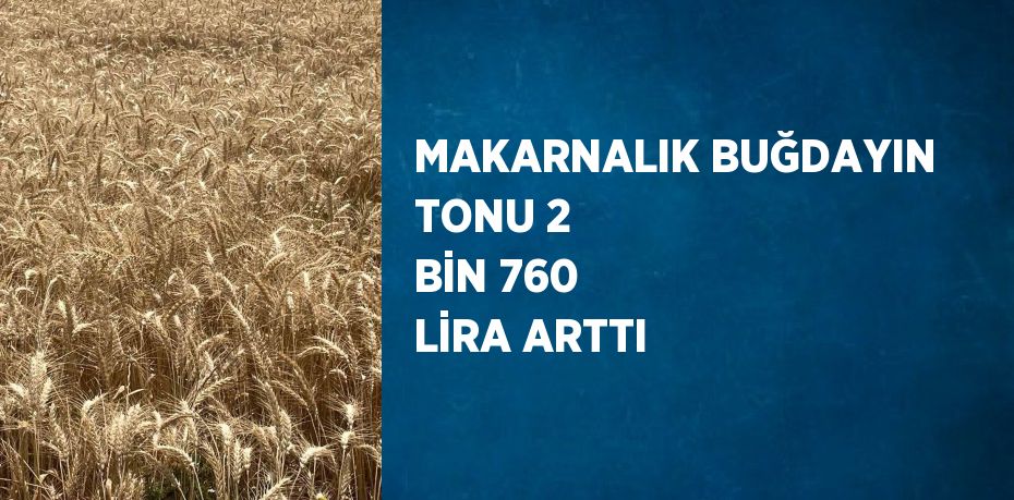 MAKARNALIK BUĞDAYIN TONU 2 BİN 760 LİRA ARTTI