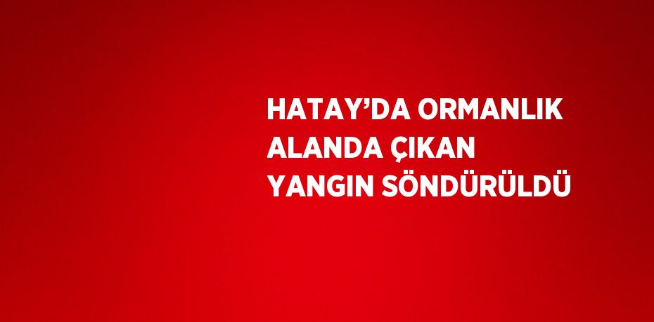 HATAY’DA ORMANLIK ALANDA ÇIKAN YANGIN SÖNDÜRÜLDÜ
