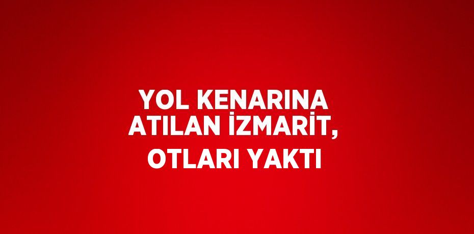 YOL KENARINA ATILAN İZMARİT, OTLARI YAKTI