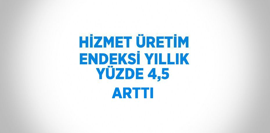 HİZMET ÜRETİM ENDEKSİ YILLIK YÜZDE 4,5 ARTTI