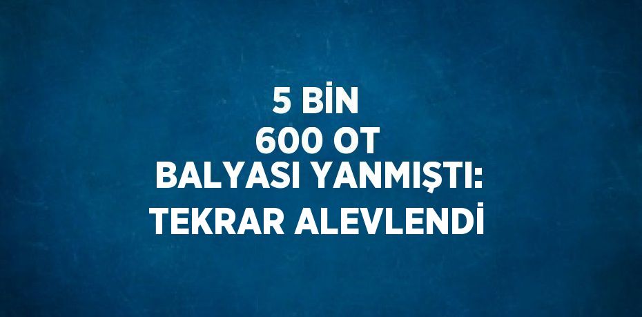 5 BİN 600 OT BALYASI YANMIŞTI: TEKRAR ALEVLENDİ