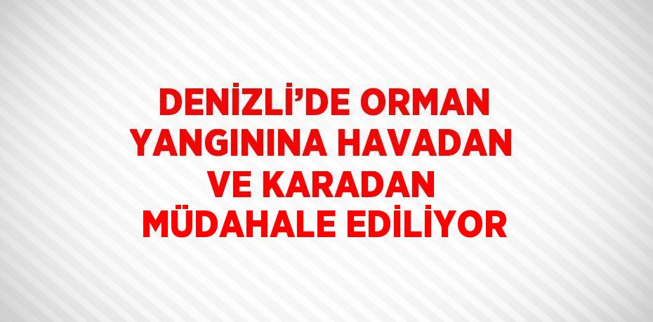 DENİZLİ’DE ORMAN YANGININA HAVADAN VE KARADAN MÜDAHALE EDİLİYOR