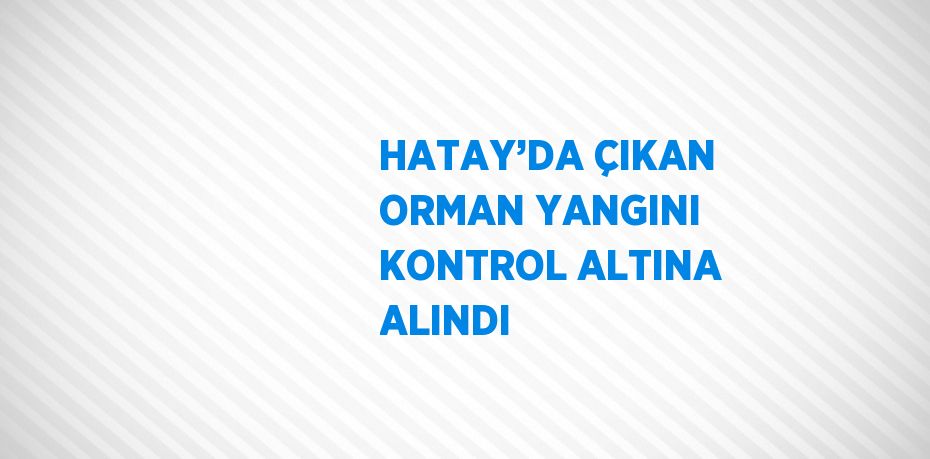 HATAY’DA ÇIKAN ORMAN YANGINI KONTROL ALTINA ALINDI