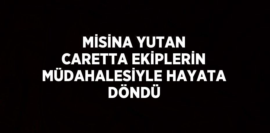 MİSİNA YUTAN CARETTA EKİPLERİN MÜDAHALESİYLE HAYATA DÖNDÜ