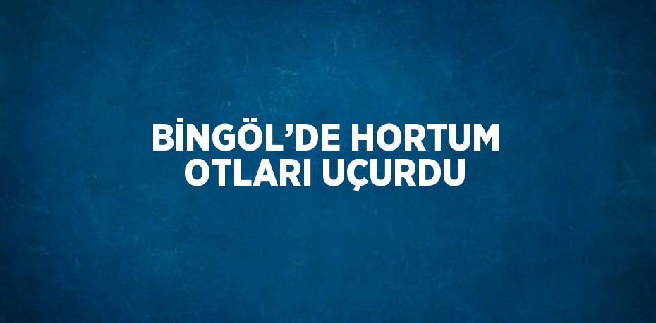 BİNGÖL’DE HORTUM OTLARI UÇURDU