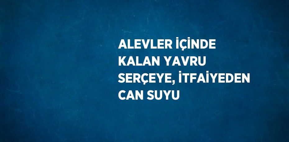 ALEVLER İÇİNDE KALAN YAVRU SERÇEYE, İTFAİYEDEN CAN SUYU