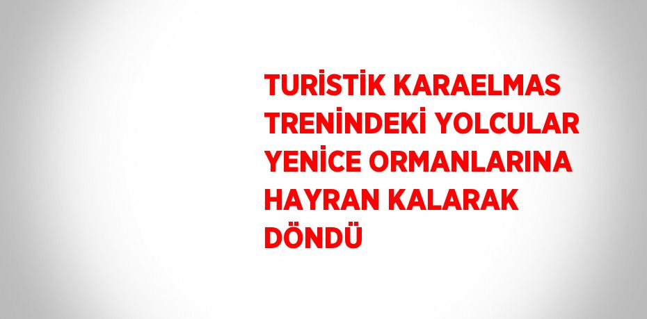 TURİSTİK KARAELMAS TRENİNDEKİ YOLCULAR YENİCE ORMANLARINA HAYRAN KALARAK DÖNDÜ