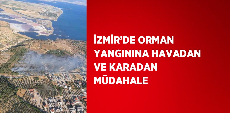 İZMİR’DE ORMAN YANGININA HAVADAN VE KARADAN MÜDAHALE