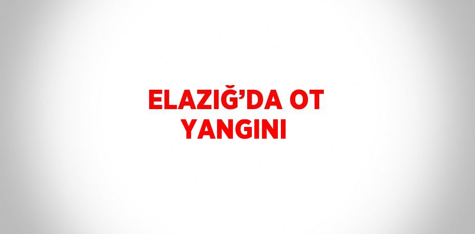 ELAZIĞ’DA OT YANGINI
