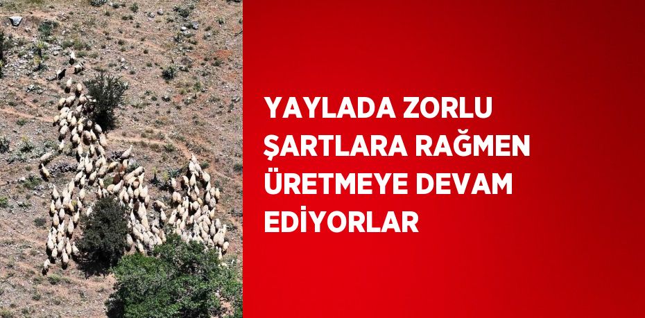 YAYLADA ZORLU ŞARTLARA RAĞMEN ÜRETMEYE DEVAM EDİYORLAR