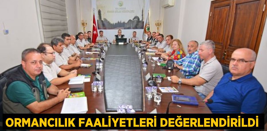 ORMANCILIK FAALİYETLERİ DEĞERLENDİRİLDİ