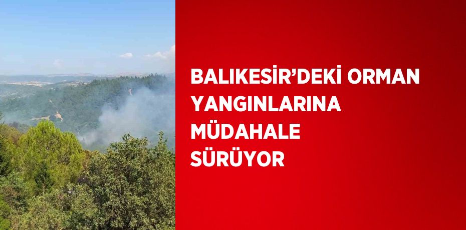 BALIKESİR’DEKİ ORMAN YANGINLARINA MÜDAHALE SÜRÜYOR