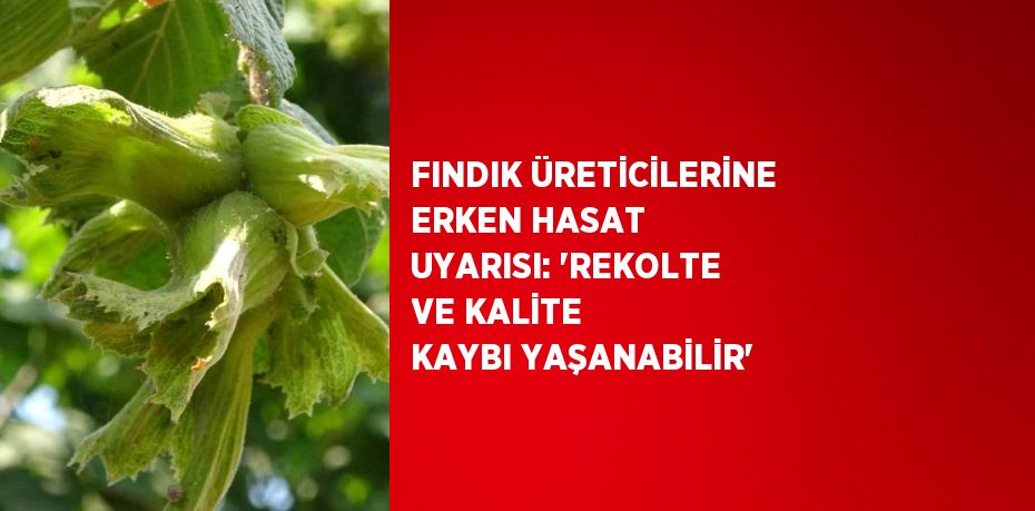 FINDIK ÜRETİCİLERİNE ERKEN HASAT UYARISI: 'REKOLTE VE KALİTE KAYBI YAŞANABİLİR'