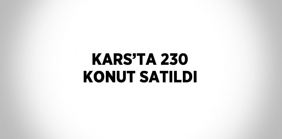 KARS’TA 230 KONUT SATILDI